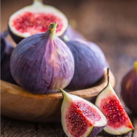 Meet your Posher, Leela @lilahsfig - Picture 3 of 16